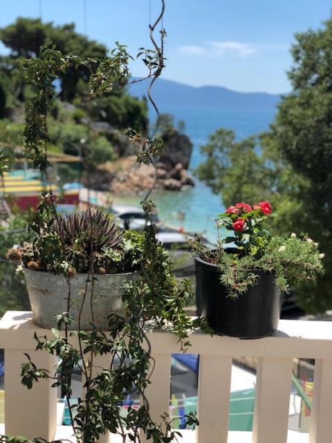 Villa Bosac Gradac  Exterior photo